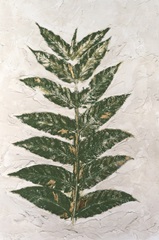 Fresco Frond I