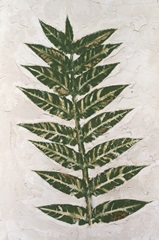 Fresco Frond II