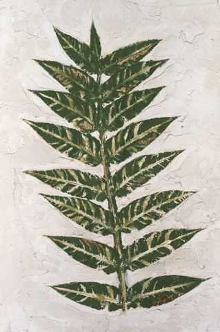 Fresco Frond II