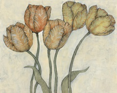 Tulip Floral Study I