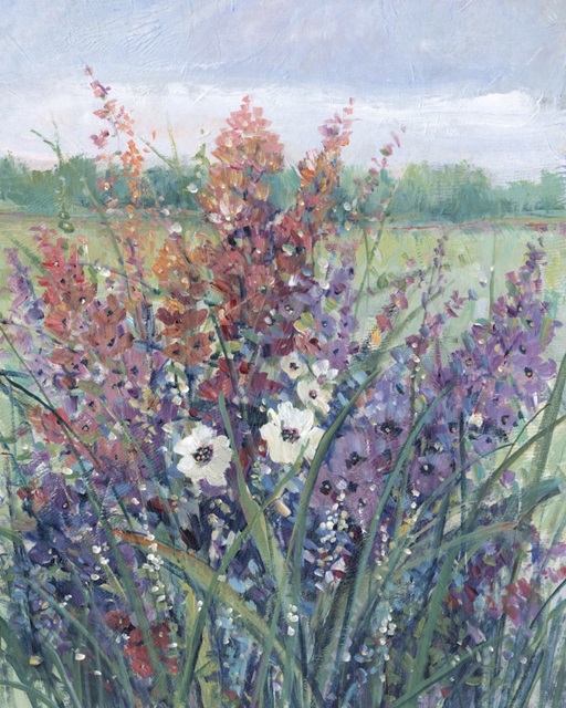 Wildflowers in Pasture II