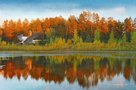 Summit Lake Tree Reflections