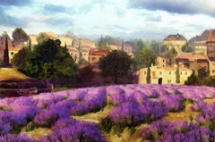 Provence's Lavender Fields II