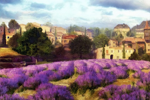 Provence's Lavender Fields II