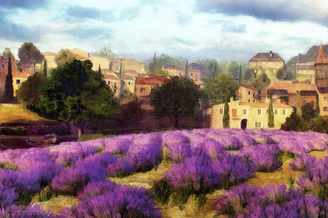 Provence's Lavender Fields II