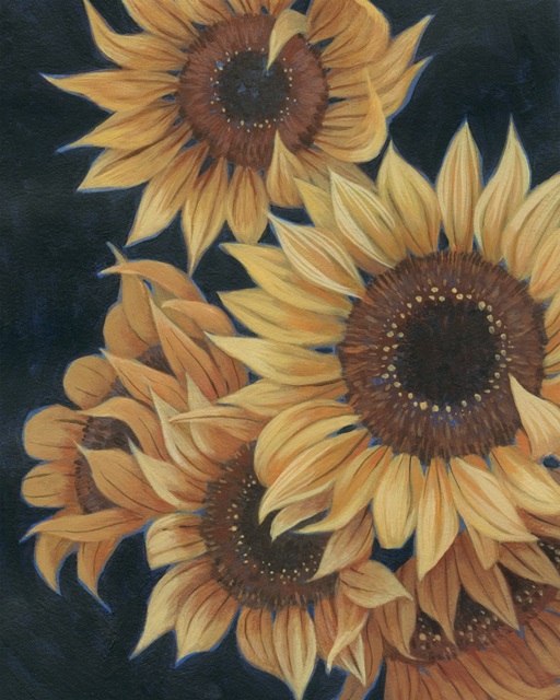Solar Flowers II