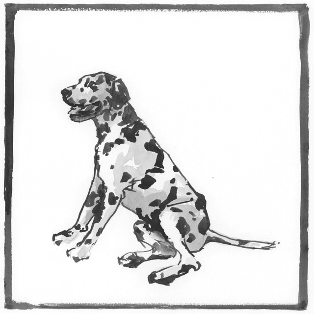 Dalmatian