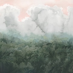 Verdant Cloud Forest II