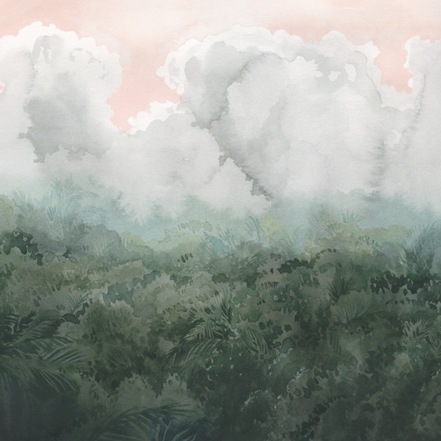 Verdant Cloud Forest II