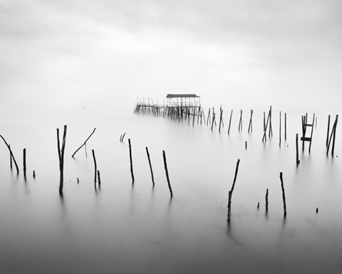 Suspended Animations