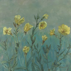 Reach for the Sky II