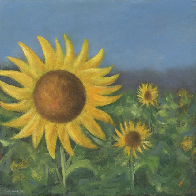 Sunflower Field I