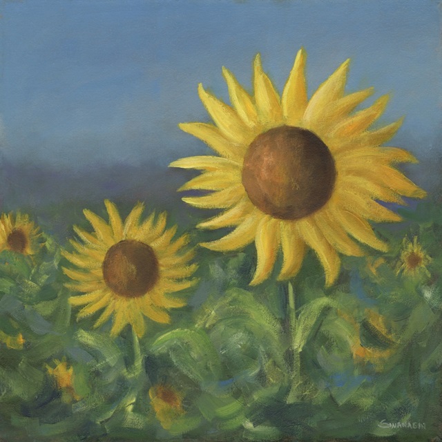 Sunflower Field II