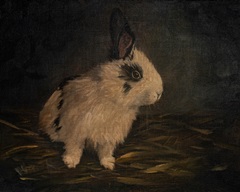 Resting Bunny Rabbit I