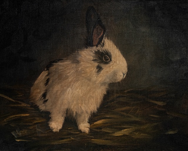 Resting Bunny Rabbit I