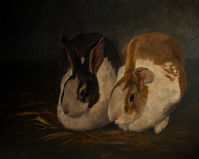 Resting Bunny Rabbit IV
