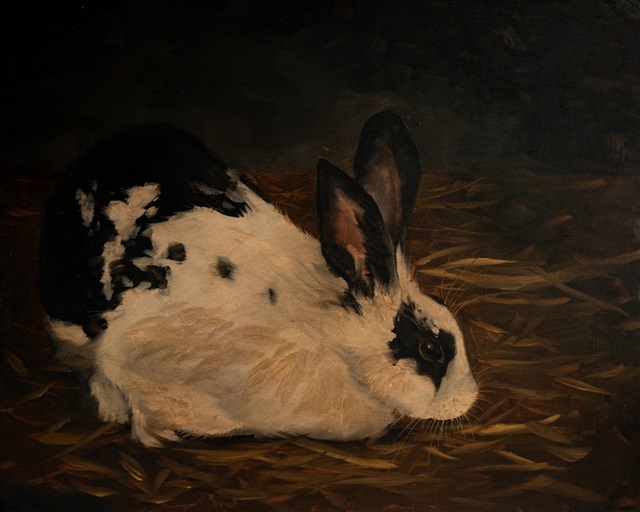 Resting Bunny Rabbit V