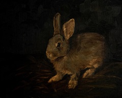 Resting Bunny Rabbit VI