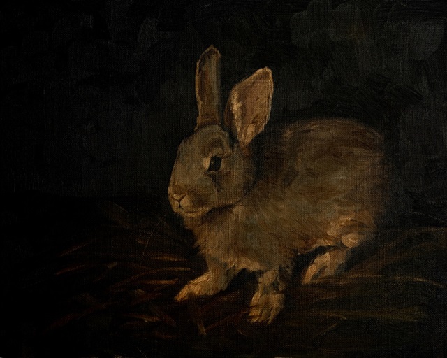 Resting Bunny Rabbit VI