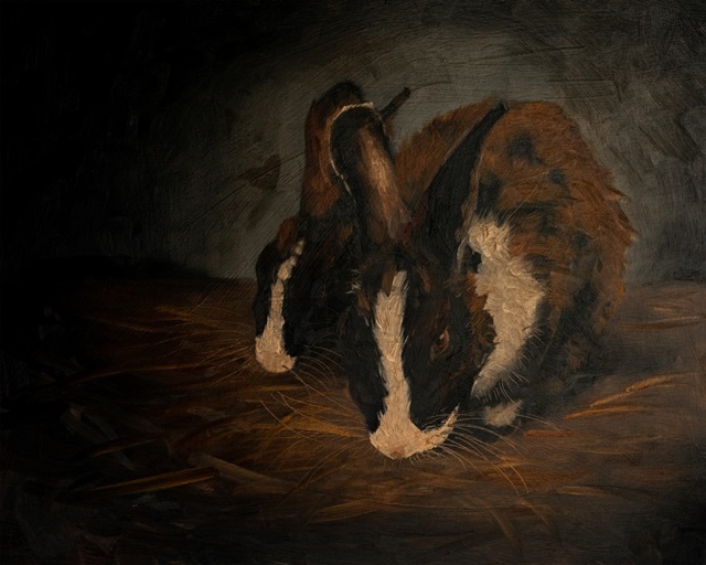 Resting Bunny Rabbit VII