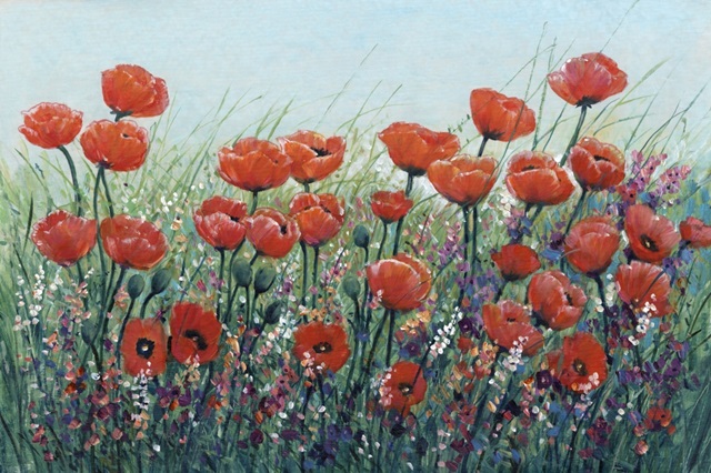 Field of Red Poppies I