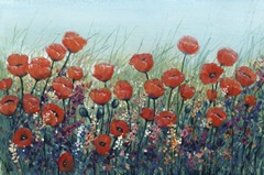 Field of Red Poppies II