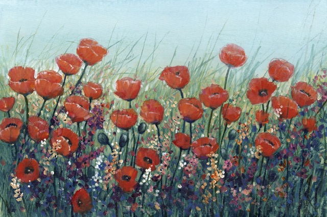 Field of Red Poppies II