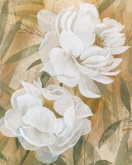 Veil of the Petals II