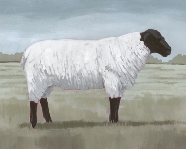 Shepherd's Sheep I