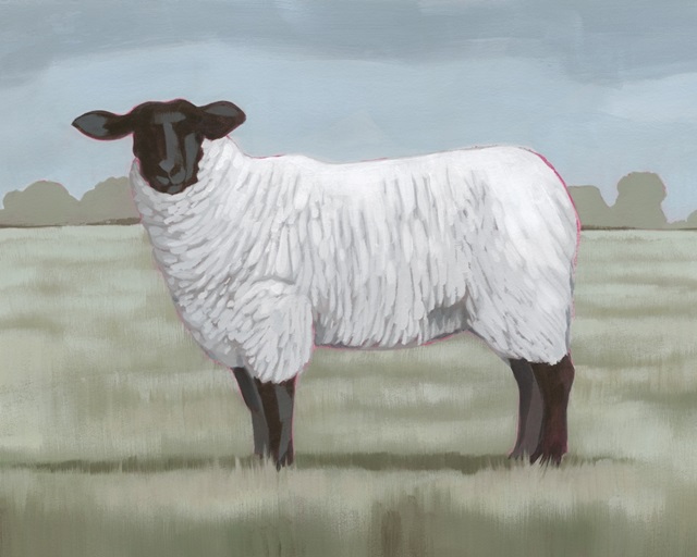 Shepherd's Sheep II