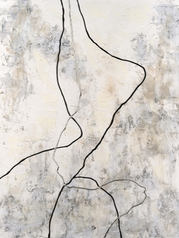 Grayscale Contour II