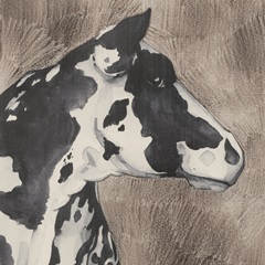Dairy Cow portrait I