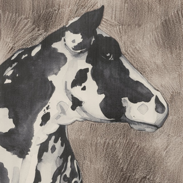 Dairy Cow portrait I