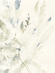 Elegant Sea Kelp I