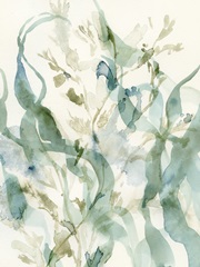 Underwater Botany II