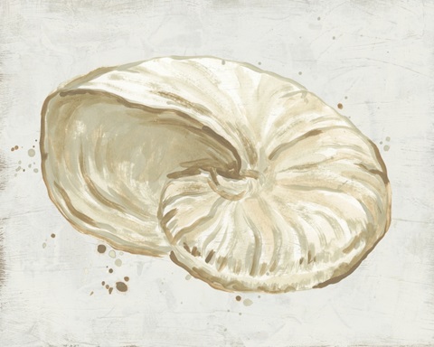 Neutral Shell Fresco I