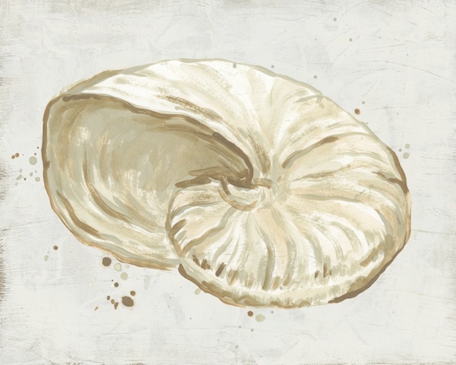 Neutral Shell Fresco I