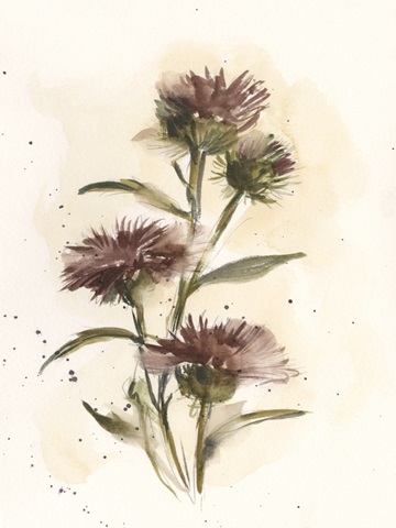 Milk Thistle Study I