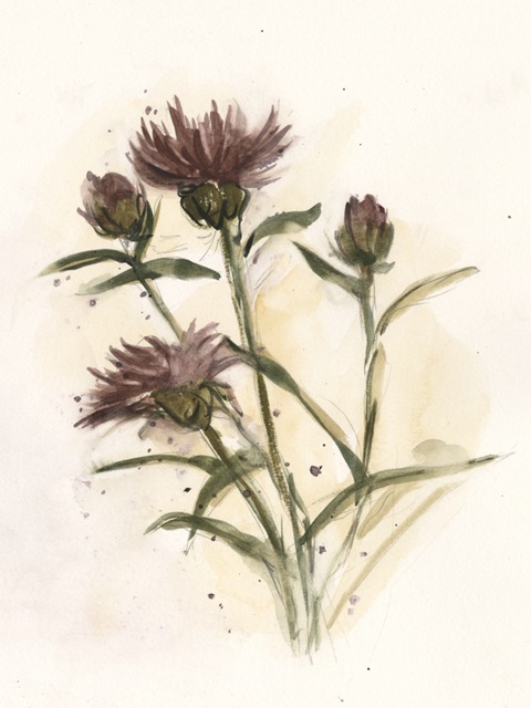 Milk Thistle Study II