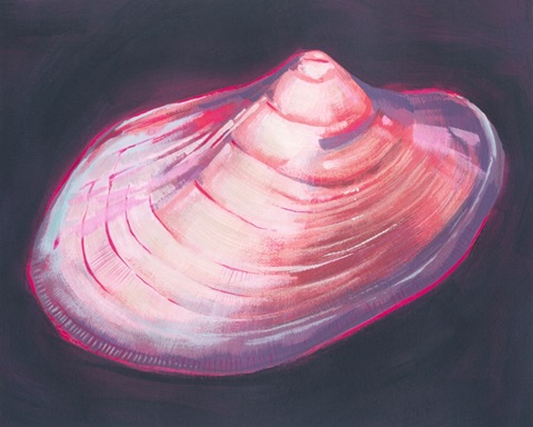 Neon Shell I