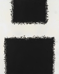 Monochrome Fields IV