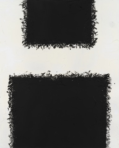 Monochrome Fields IV