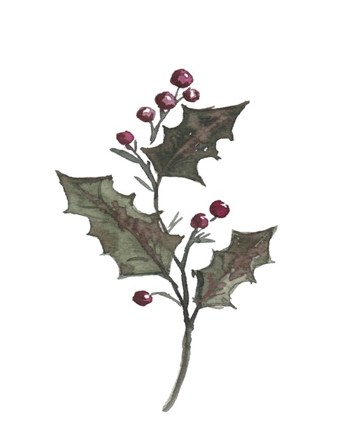 December Holly