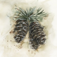 Watercolor Pinecone Study II