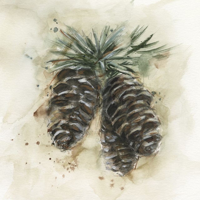 Watercolor Pinecone Study II