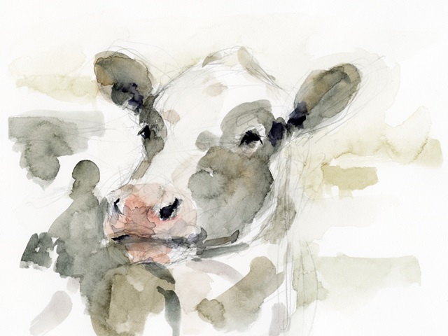 Sweet Cow Scrawl II