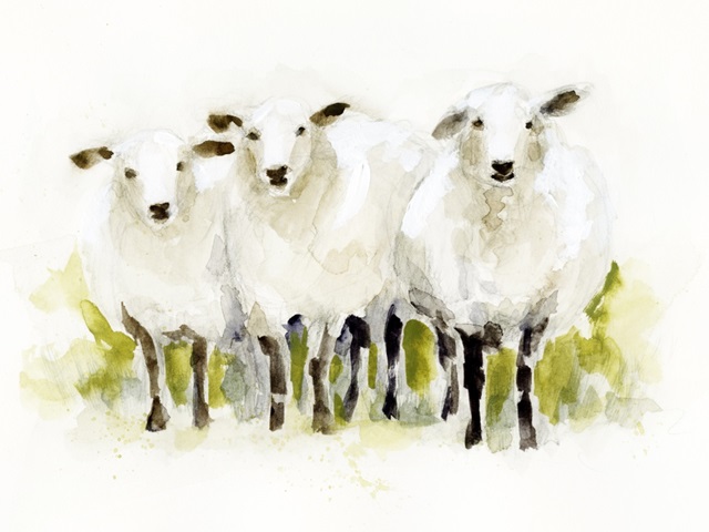 Watercolor Sheep Trio I