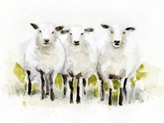 Watercolor Sheep Trio II