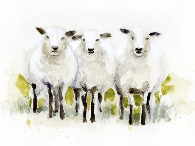 Watercolor Sheep Trio II