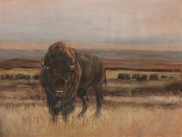 American Buffalo on the Plains I